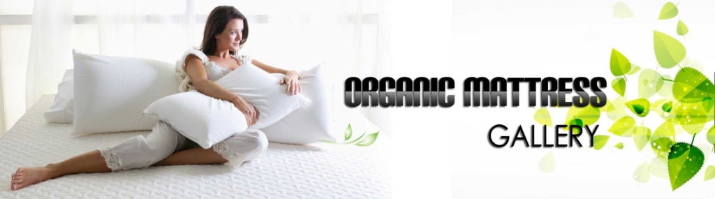 Đệm lò xo EVERON, đệm lò xo Kingkoil nhập khẩu Hoa Kỳ