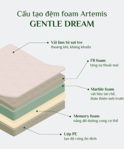 Đệm Foam Artemis Gentle Dream