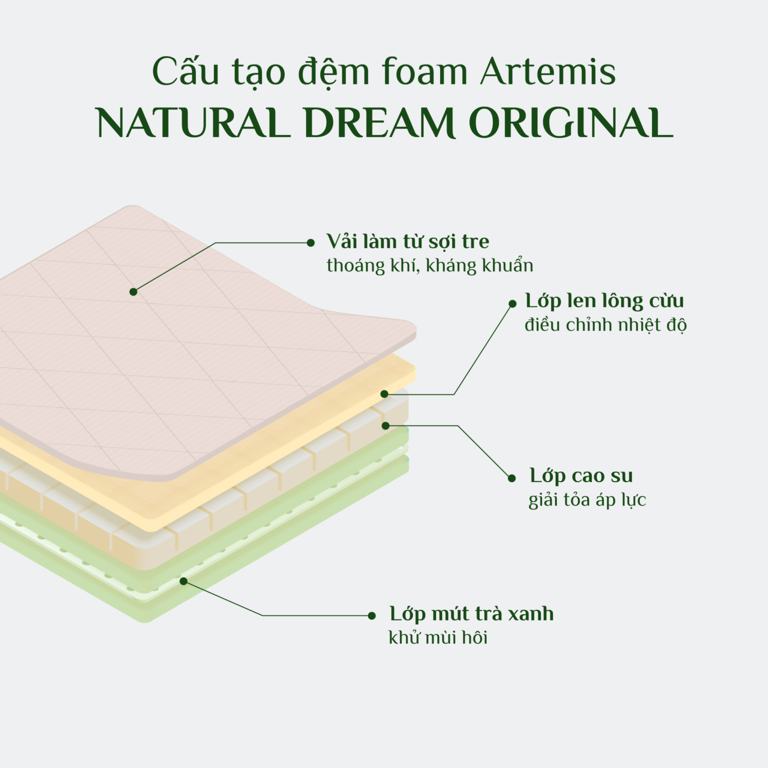 Đệm foam Artemis Nature Dream Original 3