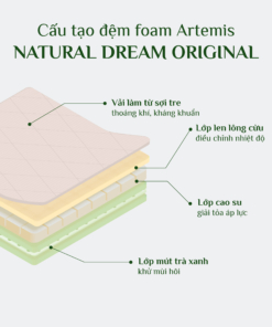 Đệm Foam Artemis Nature Dream Original 3