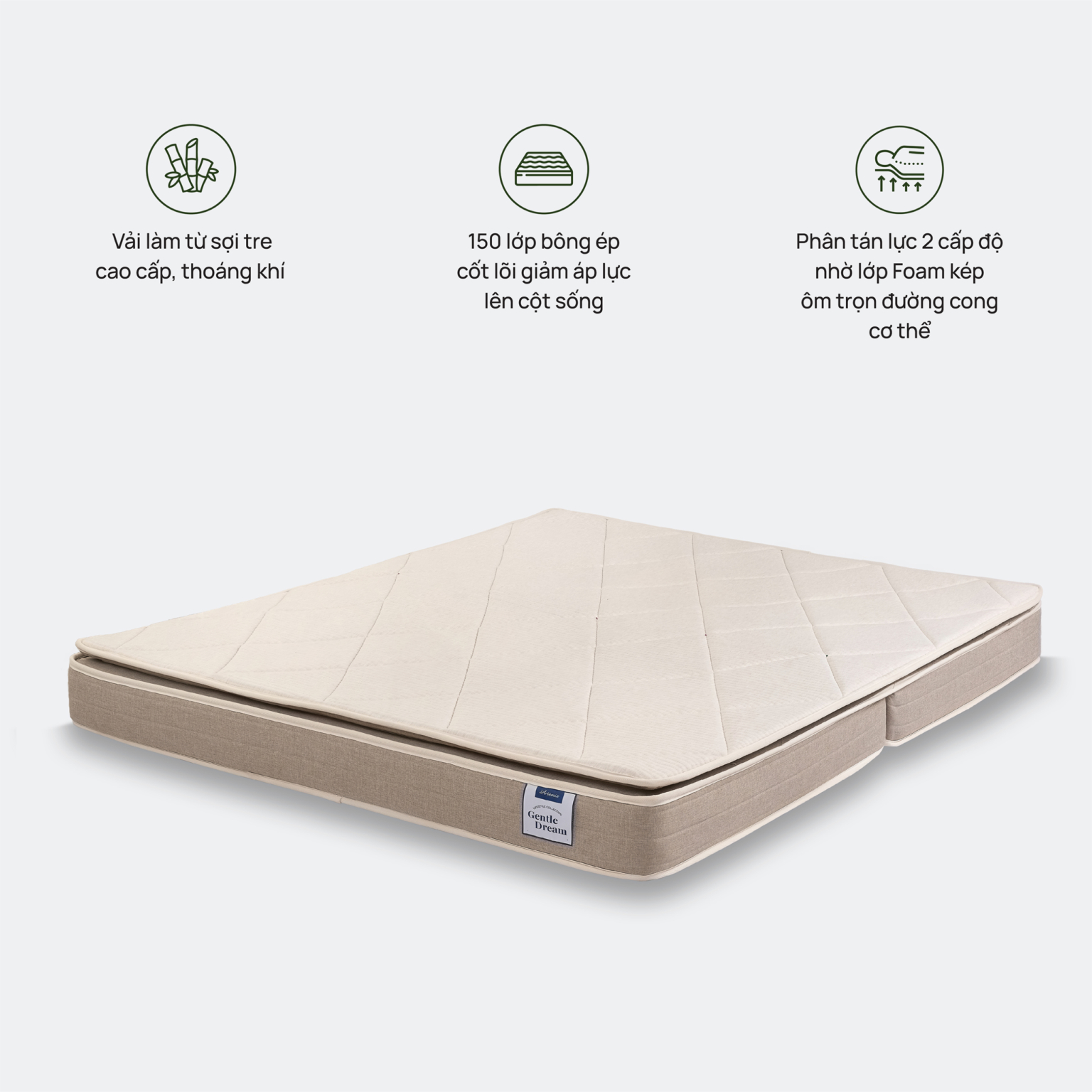 đệm artemis foam 2